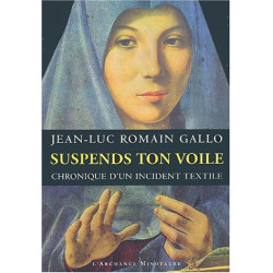 Suspends ton voile : Chronique d'un incident textile