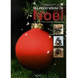Les décorations de Noël