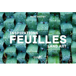 Inspiration land art feuilles