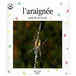 L'Araignée petite fée de la soie