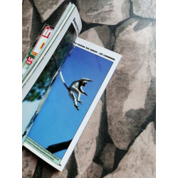 Images Doc N.6 - Juin 1989