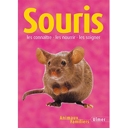 Souris