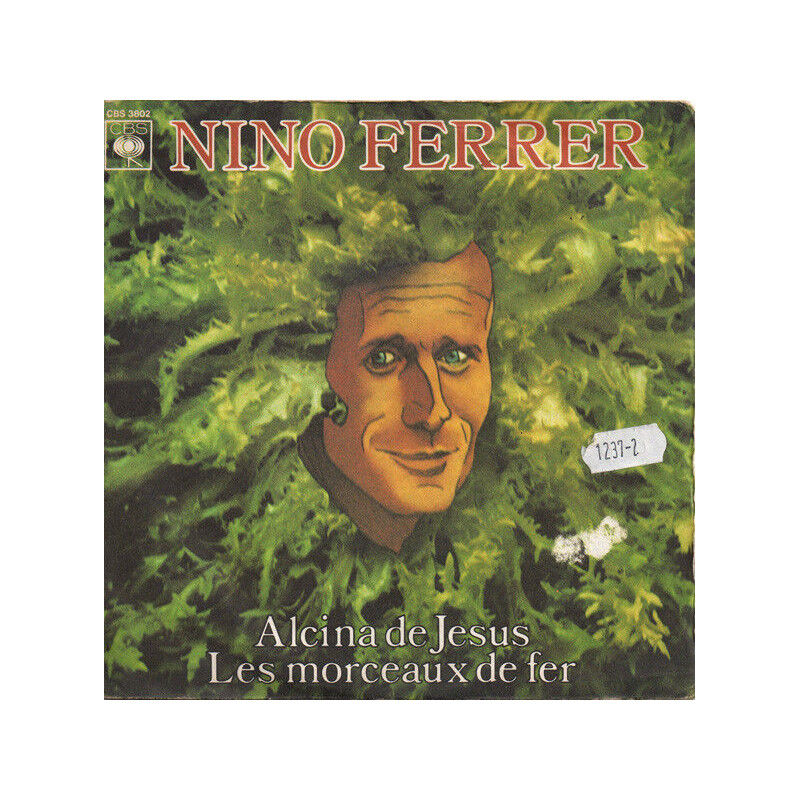 Alcina De Jesus / Les Morceaux De Fer