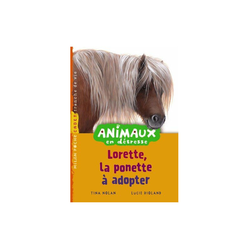 Lorette le poney à adopter