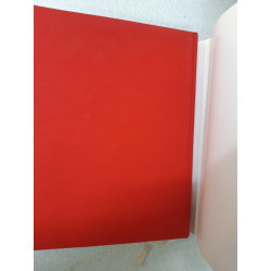 Le siecle de l'an mil