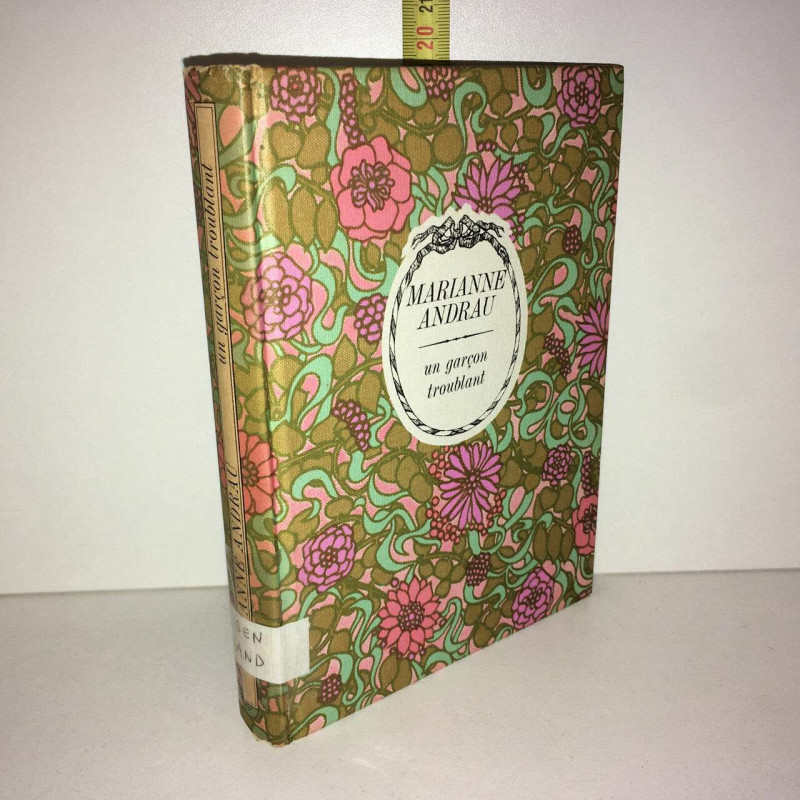 UN GARCON TROUBLANT roman inédit arc en ciel