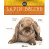 LAPIN BELIER NAIN