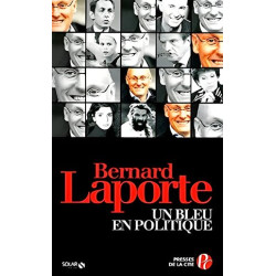 Un bleu en politique