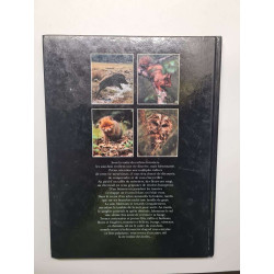 La vie cachée des sous-bois