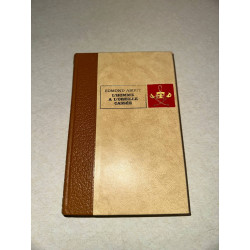 L'homme à l'oreille cassée