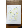 La collection des prix nobel de literature