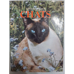 Le monde fascinants des chats