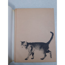 Le monde fascinants des chats