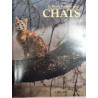 Le monde fascinants des chats
