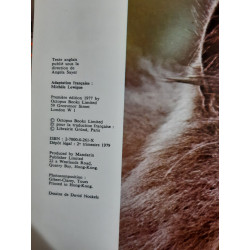 Le monde fascinants des chats