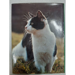 Le monde fascinants des chats