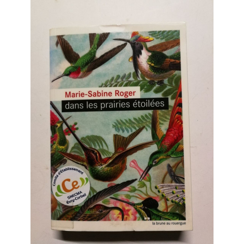 Dans les prairies étoilées