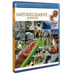 Antoine animaux [Blu-ray] (NEUF SOUS BLISTER)
