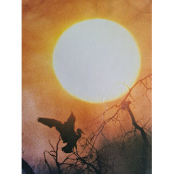 Plaisirs de la Chasse