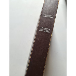 Les oiseaux se cachent pour mourir