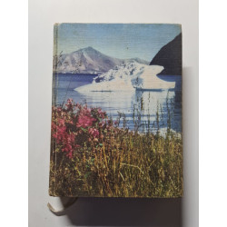 Boréal : la joie dans la nuit