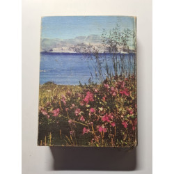 Boréal : la joie dans la nuit