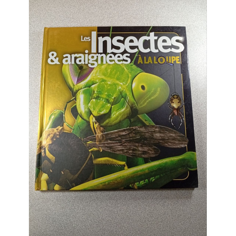 Les Insectes et araignées à la loupe