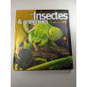 Les Insectes et araignées à la loupe