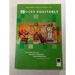 Regards sur le droit au procès équitable