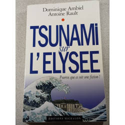 Tsunami sur l'Élysée