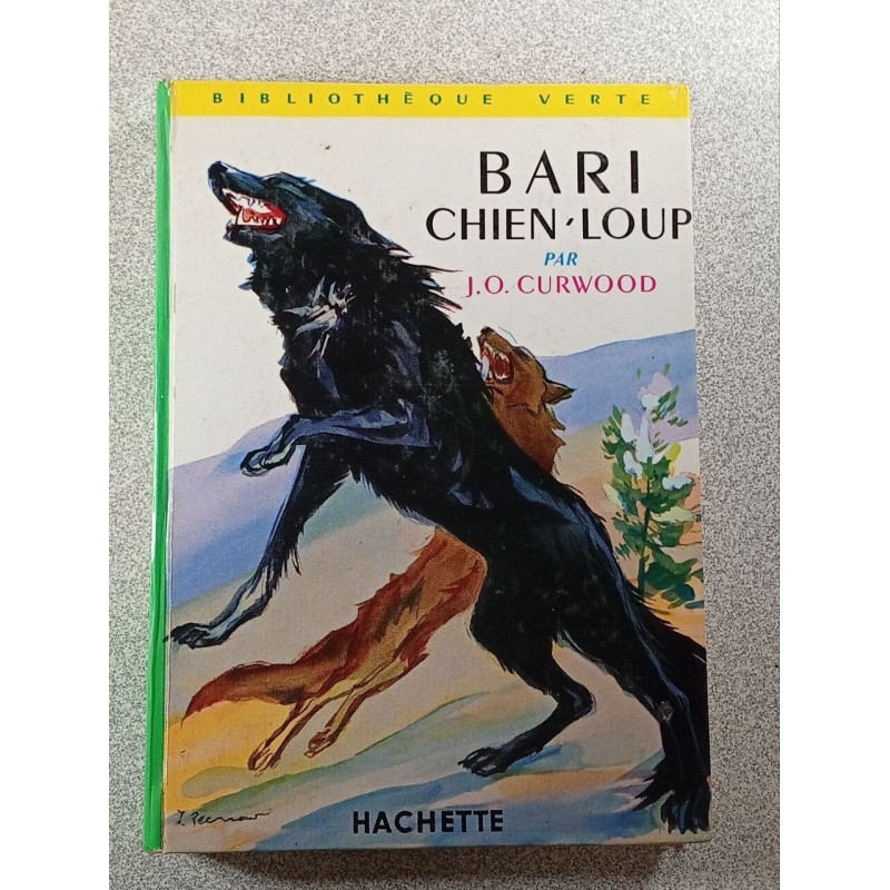 Bari chien-loup