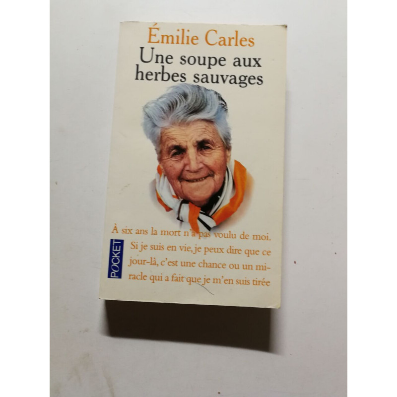 Une soupe aux herbes sauvages