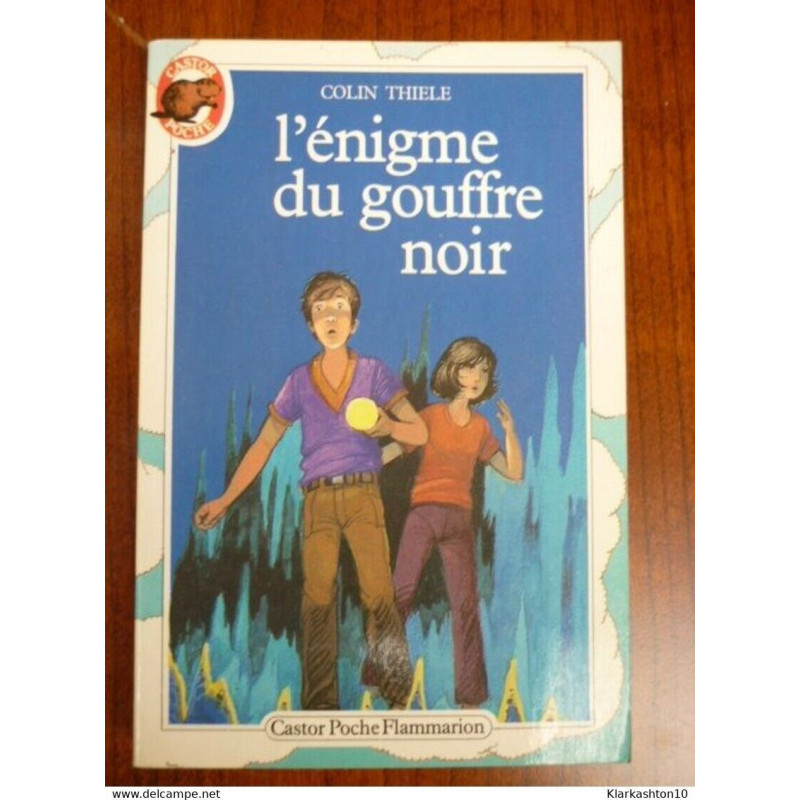 L'énigme du gouffre noir - Castor Poche