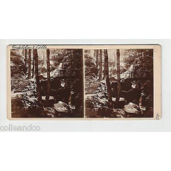 Vue Stéréoscopique Stéréo ALLEMAGNE BADEN BADEN bühlertal...
