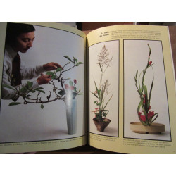 Décoration par les plantes par Oliver e allen et les Rédacteurs