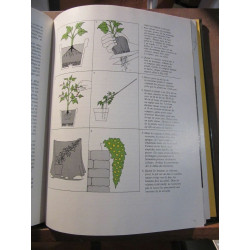 Décoration par les plantes par Oliver e allen et les Rédacteurs