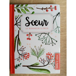 imagebooksoeur le botheur àdeux imagebook