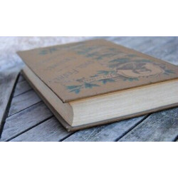 Paul Féval OEUVRES CHOISIES Cartonnage ENGEL t 17-18 LES TRIBUNAUX...