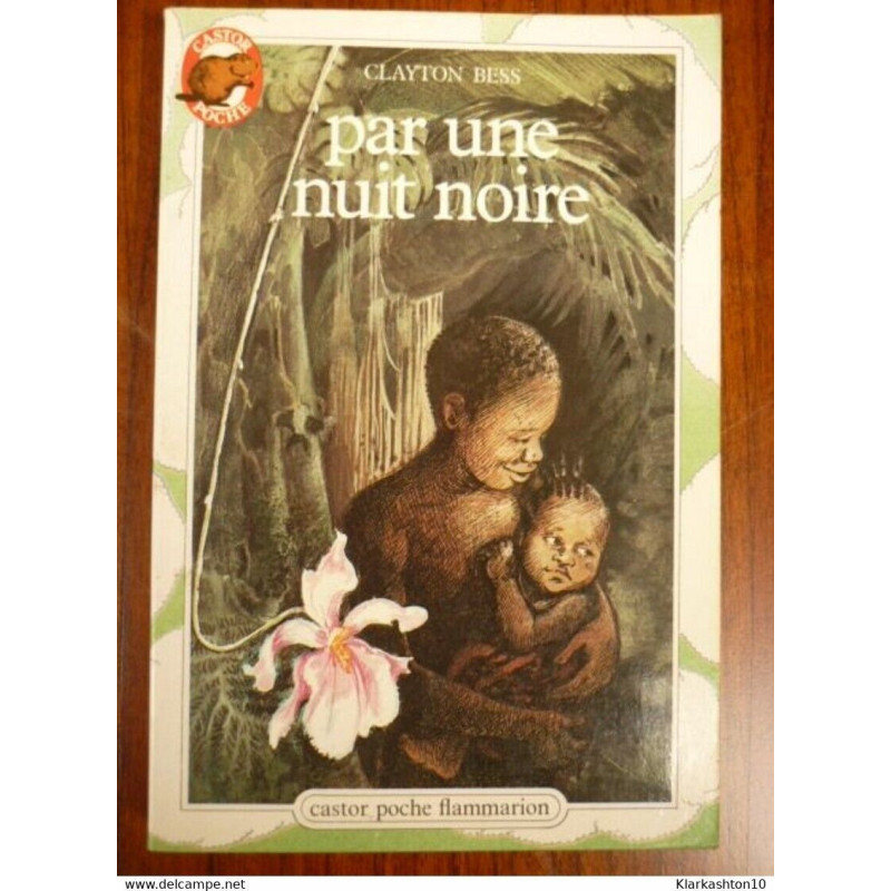 Par une nuit noire - Castor Poche