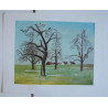 KUNSTBLÄTTER Zehn mehrfarbige Reproduktionen STOLL Robert Thomas ART