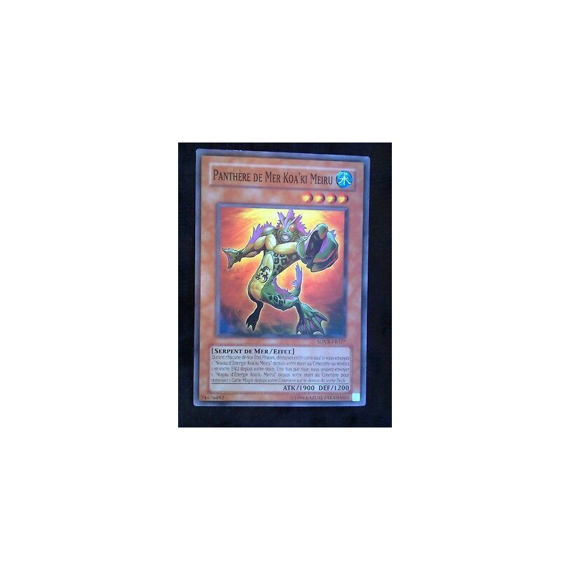 Panthère de Mer Koa'Ki Meiru SOVR-FR027
