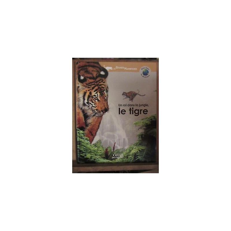 Un roi dans la jungle le tigre
