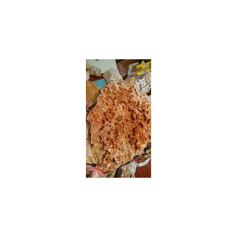 Très belle Vanadinite sur barytine mibladen 40 cm x 30 cm 10kg