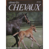 Aimer les chevaux