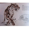 DES ANIMAUX SAUVAGES VUS PAR UN ARTISTE