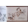 DES ANIMAUX SAUVAGES VUS PAR UN ARTISTE