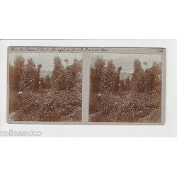 Vue Stéréoscopique Stéréo 73 AIX LES BAINS Vue générale lac du Bourget