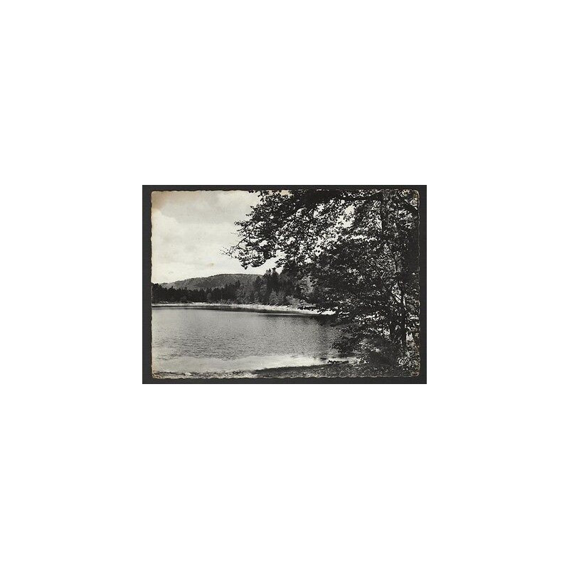 CPSM LA BRESSE 88 Le Lac des Corbeaux Vosges