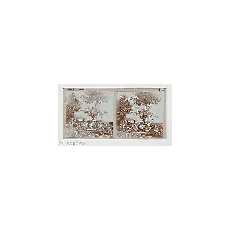 Vue Stéréoscopique Stéréo LAUSANNE OUCHY Bord lac léman fleurs bateaux