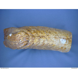 Yonne (89) - 3 5 Kg